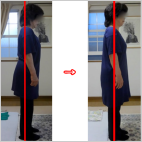 画像の説明 画像の説明