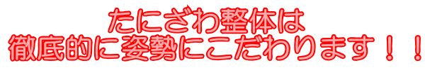画像の説明 画像の説明